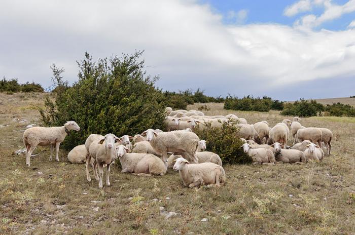 Département de la Lozère
