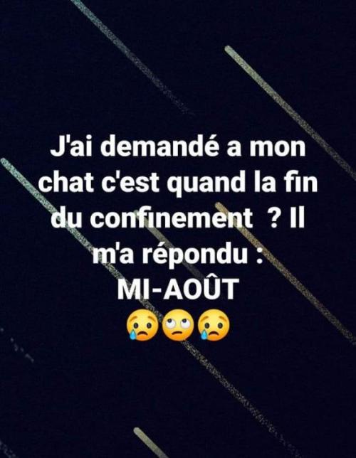 Voilà, c'est finitionné!