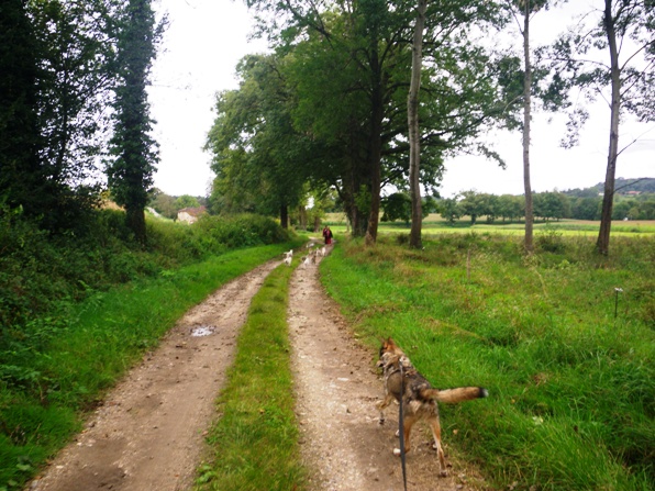 Ballade ruisseau