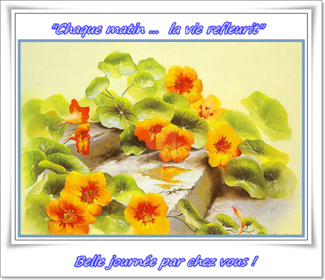 capucines 