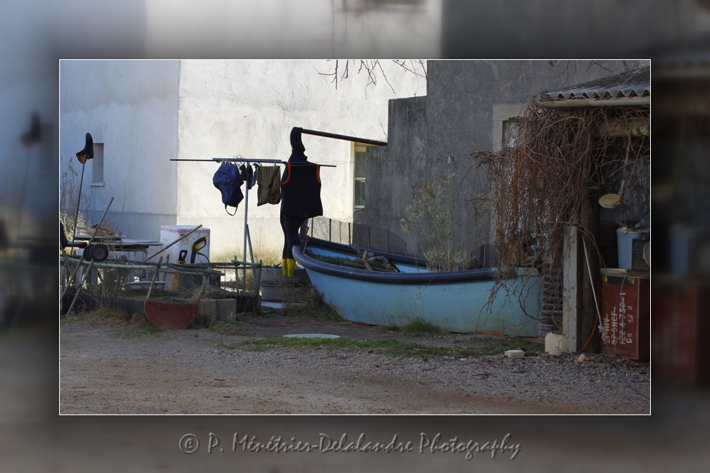 Site naturel protégé des Salines (Hérault)