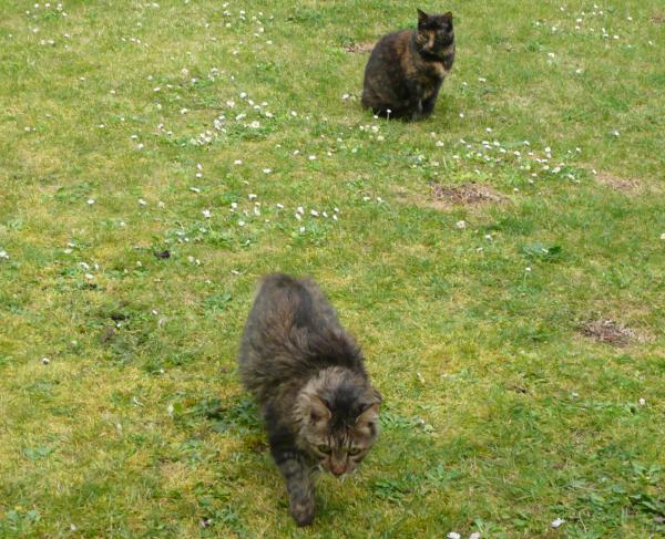 Merci Colibri, merci pour tout ...