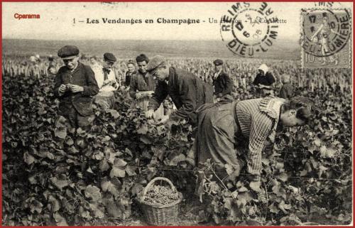 ⊱♥⊱╮ღ꧁ Aujourd'hui  51 la Marne   ꧂ღ╭⊱♥≺