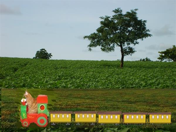 Le train de Ti Caramel 