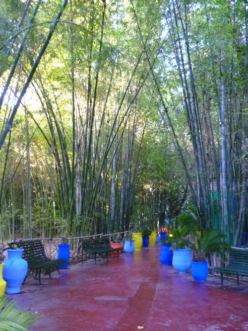 La photo préférée du mercredi chez Anika