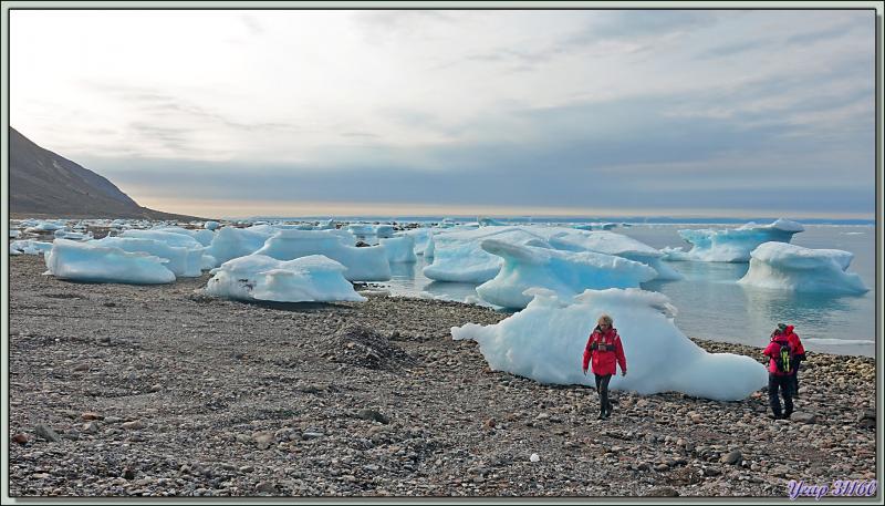 Accueil à Grise Fiord (ᐊᐅᔪᐃᑦᑐᖅ ou Aujuittuq, le Village qui ne dégèle jamais) - Ellesmere Island - Nunavut - Canada