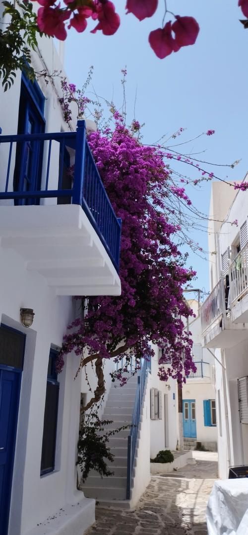 PAROS en couleurs !