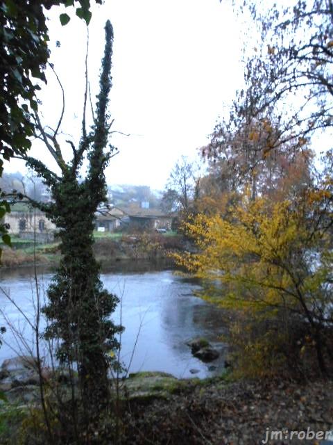 Balade matinale d'Automne sur les bords de Vienne 
