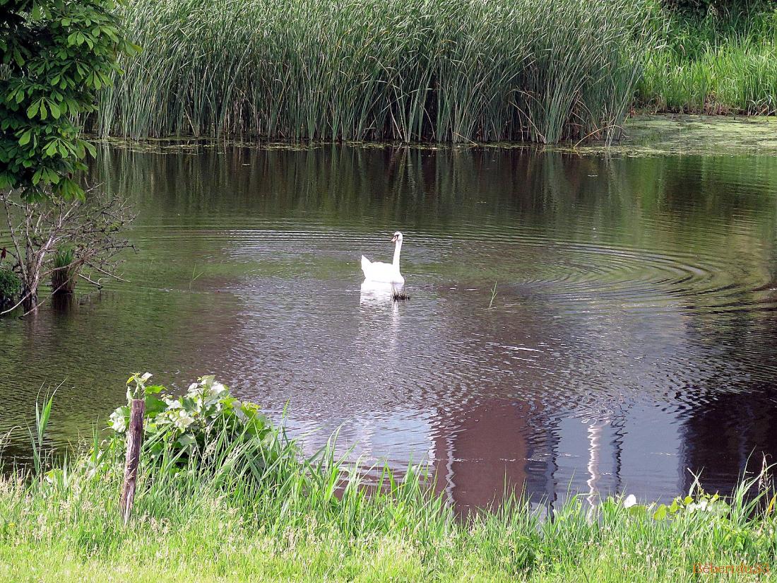 Hulst dans les Pays-Bas -2
