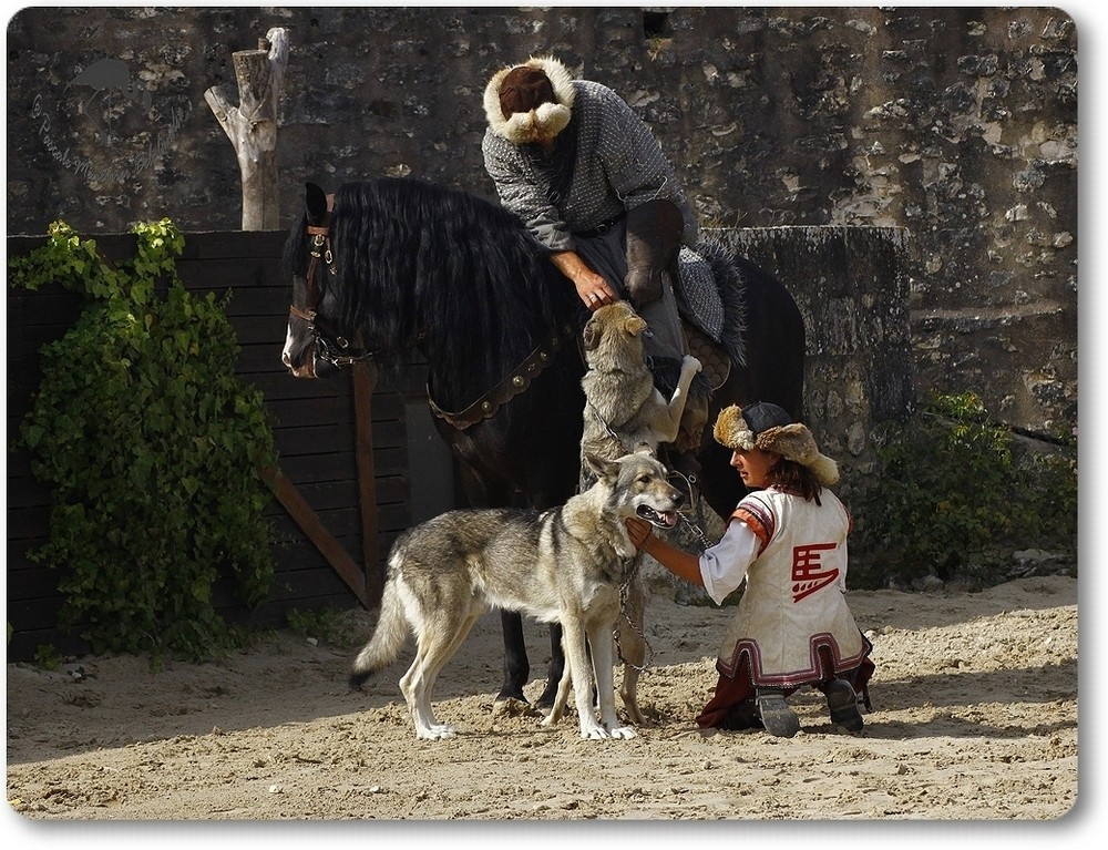 Des chevaux, des loups et des hommes...