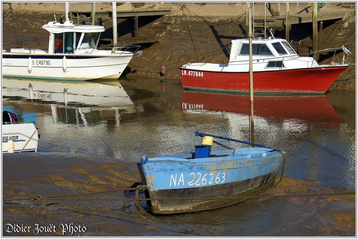 (85) Vendée - Bouin (1) - Port du Collet