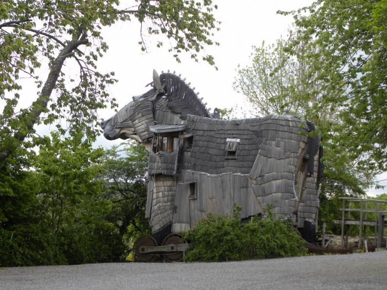 Un cheval, un baobabs....C'est monumental!