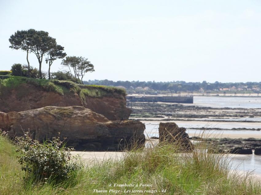 Sortie aux Terres rouges à Tharon Plage 