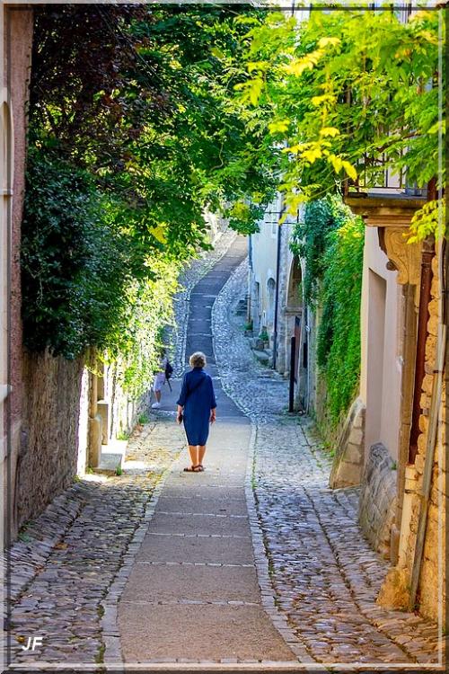 1010 - Vaison-la-Romaine dans le Vaucluse (84)