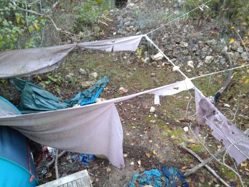 Campement abandonné, rebus de cyclo : Forêt à l'Orée de la ville