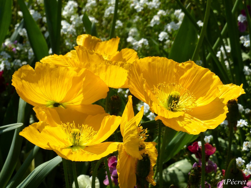 Faune et Flore au Jardin des Plantes