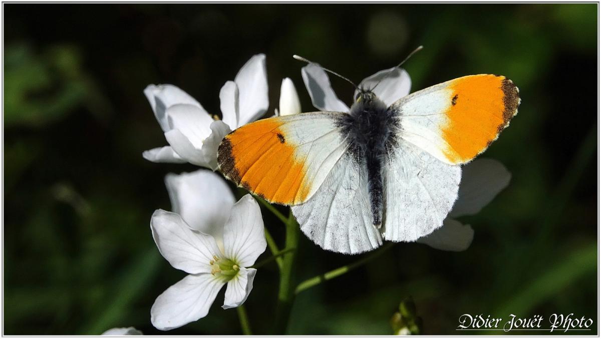 Balade / Mardi 30 Avril 2019
