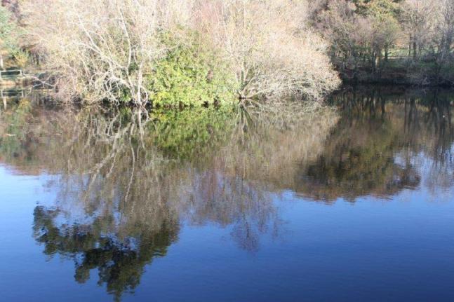 jardin à St Urbain 008