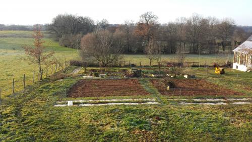 ... Dans mon jardin d'hiver...