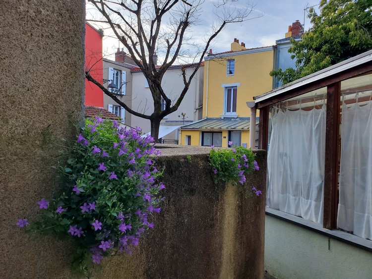 Dans Trentemoult