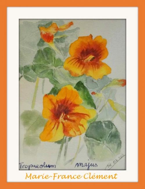 Aquarelles à Villiers le Duc...