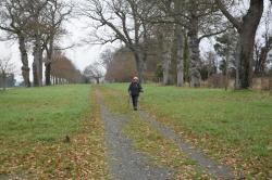 La randonnée du 19 décembre à Avenay