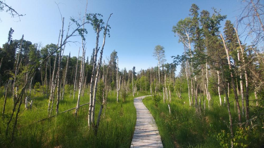 2019 summer vacation: Day seven - From Flin Flon to Prince Albert