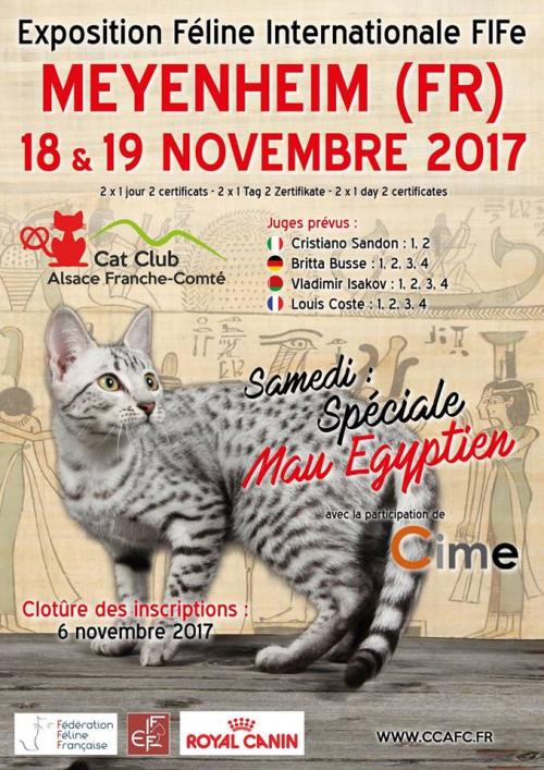 Expo de novembre :
