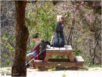 (J38) Agès / Villafranca Montès de Oca 12 mai 2012 (1)