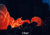 Gif_005.gif