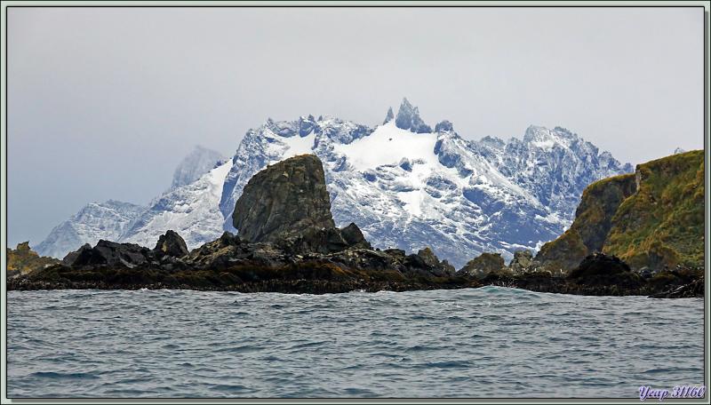 11 mars 2019 : nous arrivons à Cooper Bay où nous ne débarquerons pas, nous ferons uniquement une sortie en Zodiac le long de la côte - Géorgie du Sud