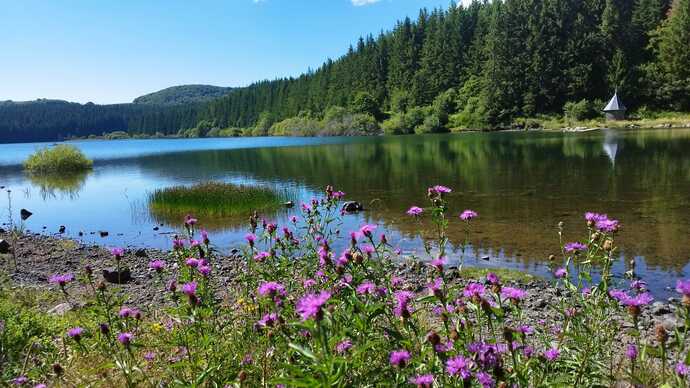 Peut être une image de lac