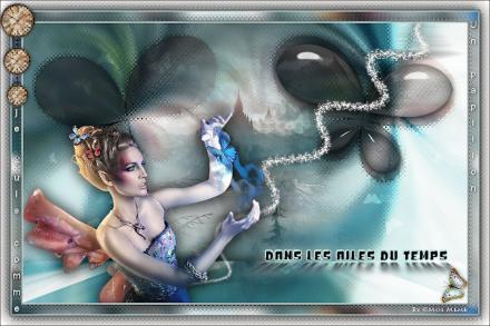 Dans les ailes du temps