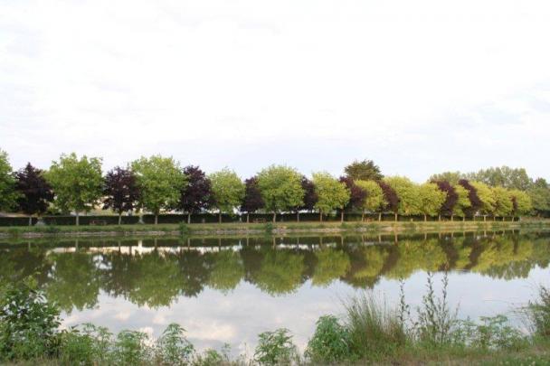 St Etienne-du-Bois (18)