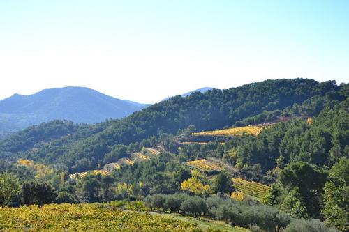 Les dentelles de Montmirail  (Vaucluse)