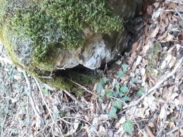 Yves P.‏ - les émanants