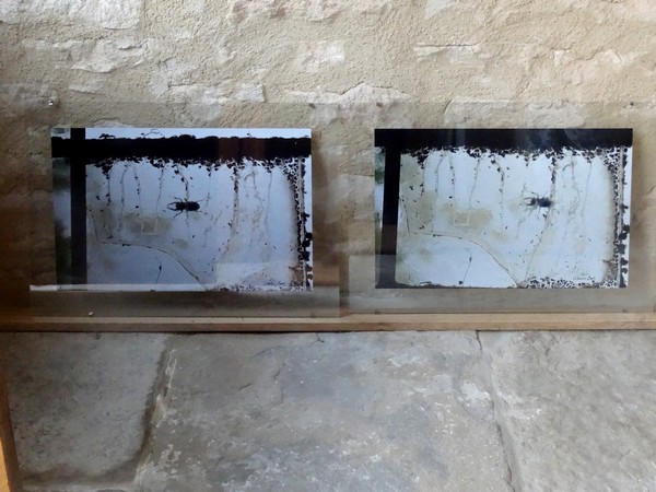 Karin Neumann présente son exposition de printemps 2016
