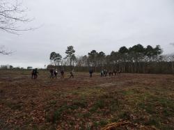 CR / RANDO 15 / ST-MEDARD-EN-JALLES