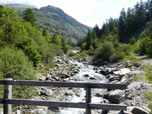 Le long de la Rouanne (Ancelle - Champsaur)