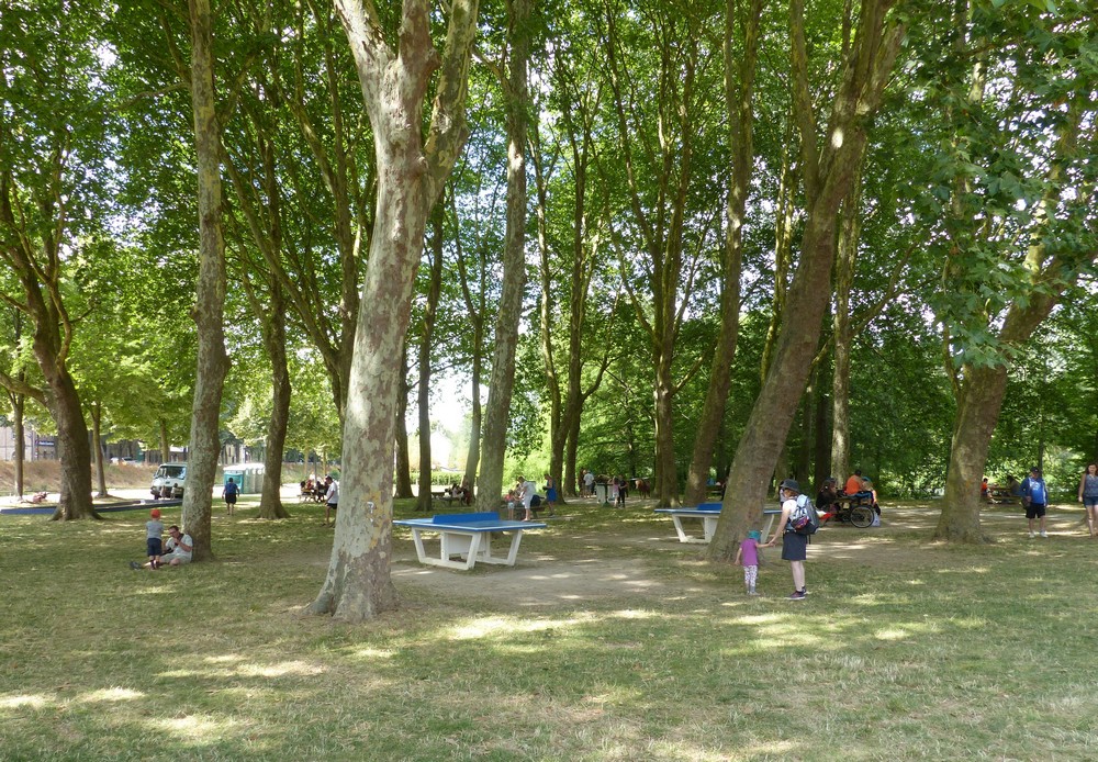 Mes clichés éparses