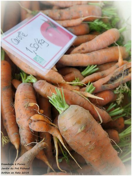 Les bons légumes du Pré Pichaud à Arthon en Retz 