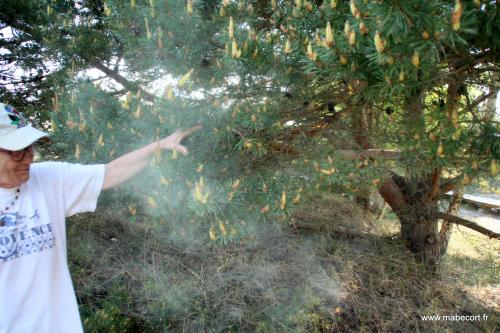 Lettonie du 13 au ....