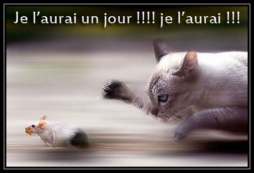 Humour du samedi ... !!!