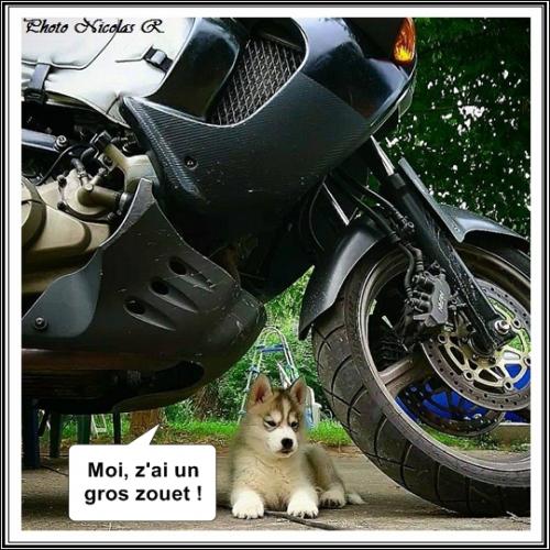 De quoi bien s'amuser (2 août 2017)