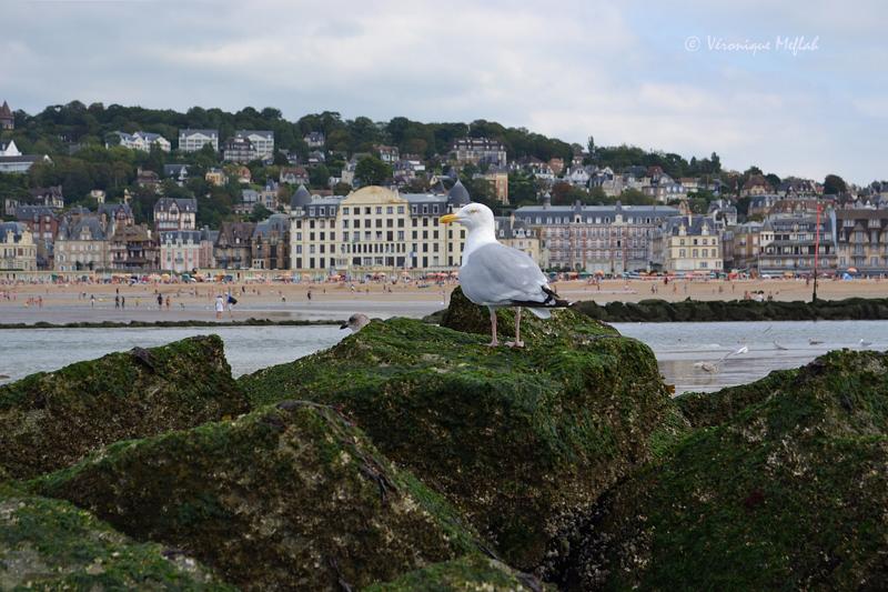 Deauville : la Touques sépare Deauville de Trouville.
