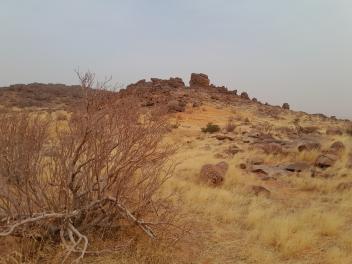 Depuis Nouakchott
