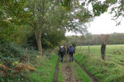 La randonnée du 17 novembre à Hermival-les-Vaux