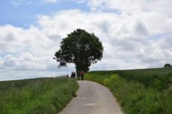 La randonnée du 6 juin à Hérouville-Saint-Clair