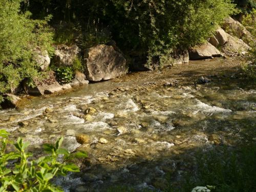Le long de la Rouanne (Ancelle - Champsaur)