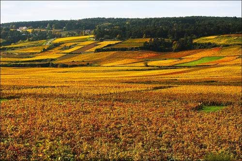 Département de la Côte d'Or